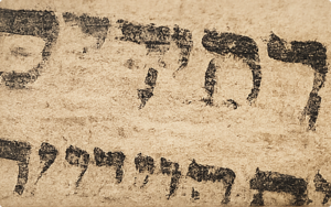 Torah scroll parchment with missing or faded ink