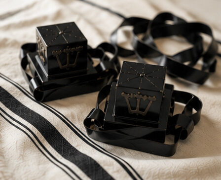 Pair of tefillin with straps for certified tefillin inspection and kosher checking